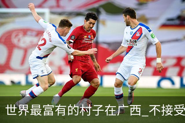 世界最富有的村子在广西 不接受反驳也让人无从反驳