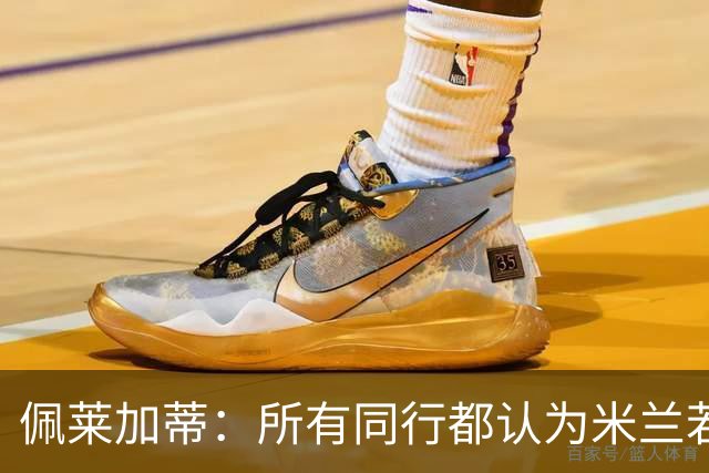 佩莱加蒂：所有同行都认为米兰若维持现有的阵容将会举步维艰
