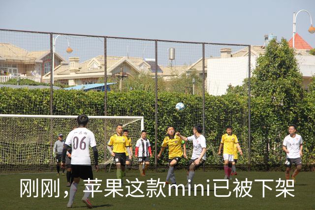 刚刚，苹果这款mini已被下架
