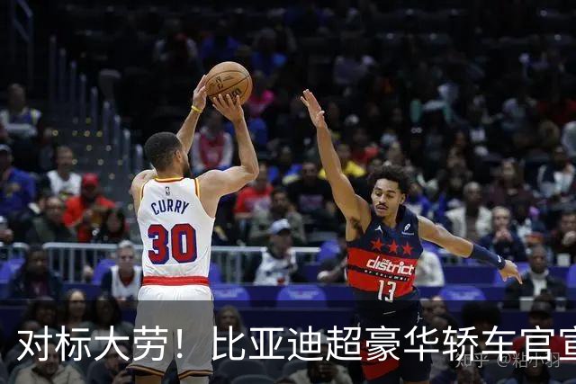 对标大劳！比亚迪超豪华轿车官宣