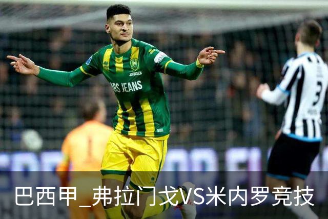 巴西甲 弗拉门戈VS米内罗竞技