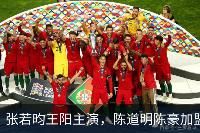 张若昀王阳主演，陈道明陈豪加盟，国产谍战剧终于迎来高潮