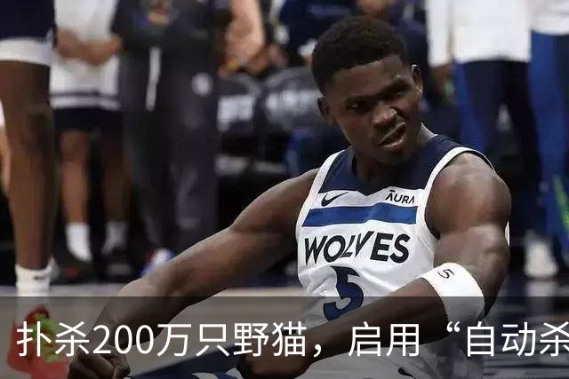 扑杀200万只野猫，启用“自动杀猫机”，对家猫“宵禁”……澳大利亚为什么不肯放过野生“哈基米”？