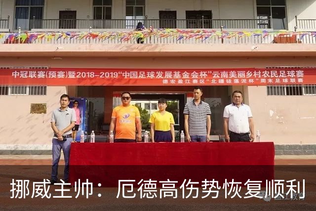 挪威主帅：厄德高伤势恢复顺利