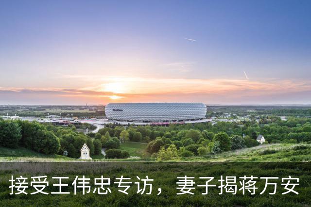 接受王伟忠专访，妻子揭蒋万安“脆弱一面”：曾为长子遭攻击落泪