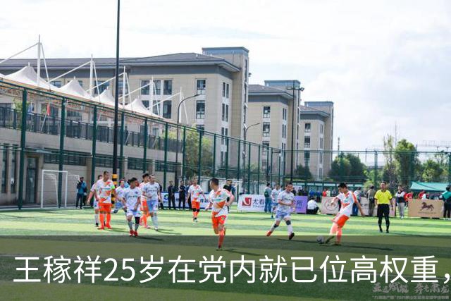 王稼祥25岁在党内就已位高权重，怎么后来地位一路走低，遗憾收场